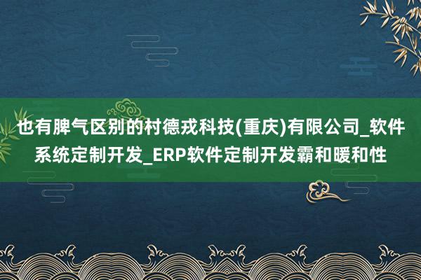 也有脾气区别的村德戎科技(重庆)有限公司_软件系统定制开发_ERP软件定制开发霸和暖和性